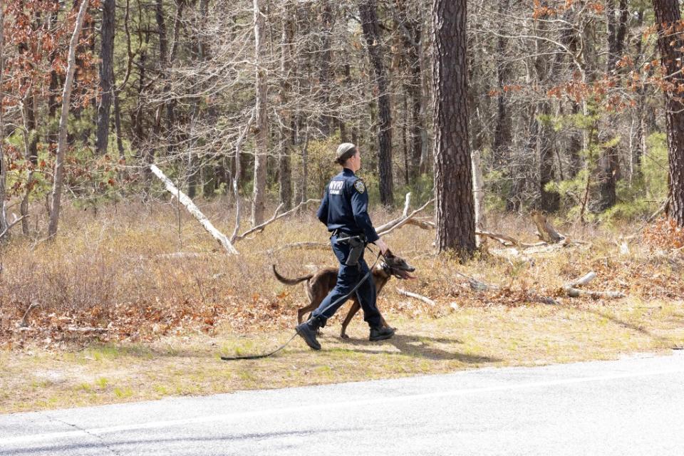 The search is related to the Gilgo Beach murders. Dennis A. Clark