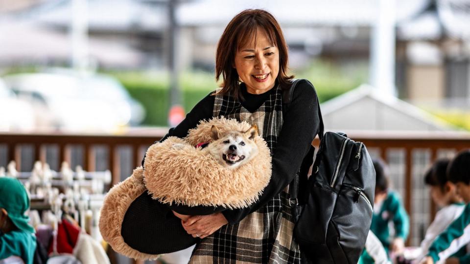 PHOTO: This picture taken on March 19, 2024 shows Atsuko Sato with her Japanese shiba inu dog Kabosu, best known as the logo of cryptocurrency Dogecoin, playing with students at a kindergarten in Narita, Chiba prefecture, east of Tokyo.  (Philip Fong/AFP via Getty Images)