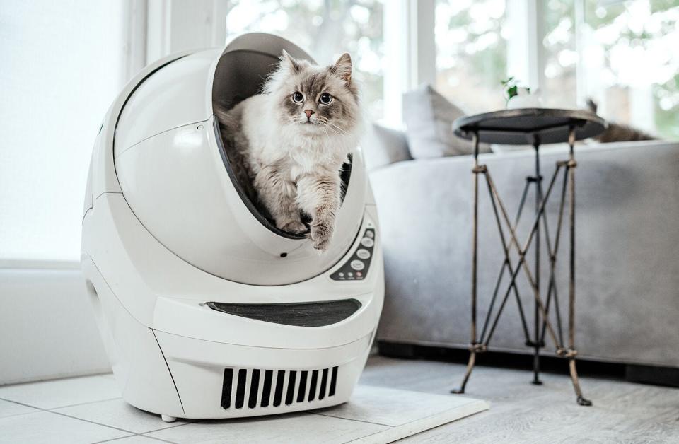 Litter-Robot.