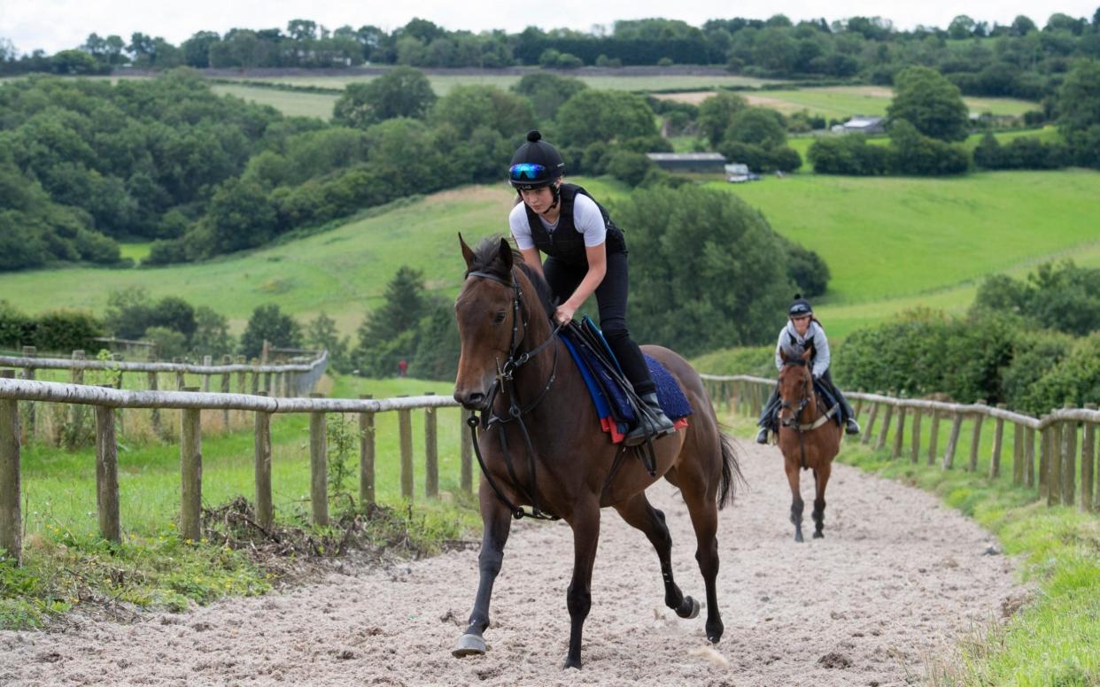 Horses on the five-furlong uphill gallop at trainer Tim Vaughan's hilltop stables near Cowbridge in Wales -  Dale Cherry