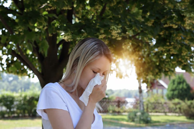 Hay fever could be causing your symptoms, especially now that we're well into spring -Credit:Getty Images/iStockphoto