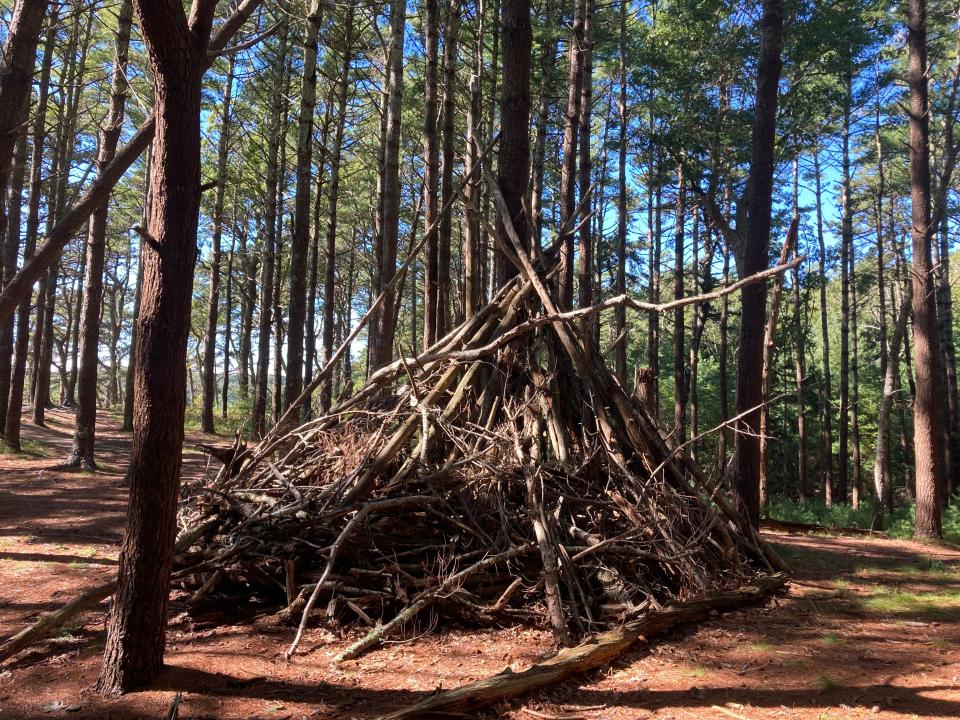 A rough and ready lean-to along the Cliff Pond Trail in Brewster.