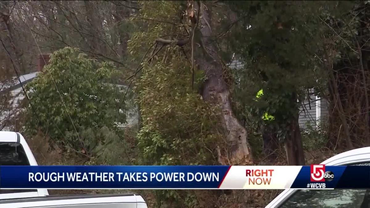 Downed Tree Knocks Out Power To Residents Who Stocked Up On Food