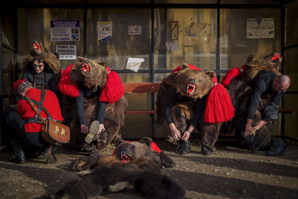Integrantes de la manada de osos Sipoteni se colocan los trajes en Racova, en el norte de Rumanía, el 26 de diciembre de 2023, mientras recorren distintas localidades para el tradicional ritual del baile del oso. Hace siglos, quienes vivían en lo que ahora es el noreste de Rumanía se cubrían con pieles de oso y bailaban para ahuyentar a los malos espíritus. Esa costumbre es conocida hoy en día como el Festival del Baile del Oso, que cada diciembre atrae a multitud de turistas. (AP Foto/Vadim Ghirda)