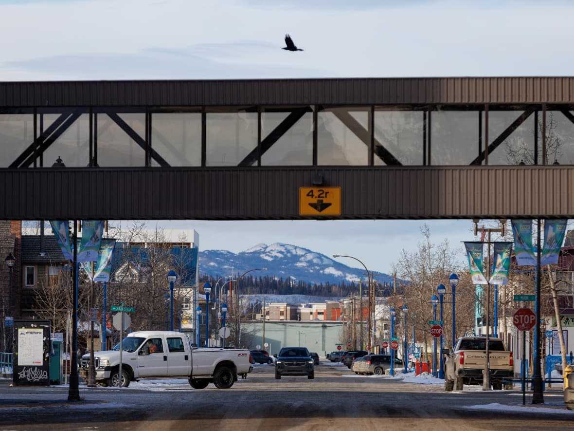 A raven flies over Whitehorse in February. For the first time, Yukon police have charged an alleged drug trafficker with manslaughter related to an opioid overdose. (Evan Mitsui/CBC - image credit)