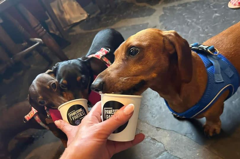 There will be unlimited puppacinos!