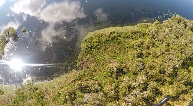 A crocodile said to be about four metres long has been spotted in an aerial inspection. Source: Department of Environment and Heritage Protection