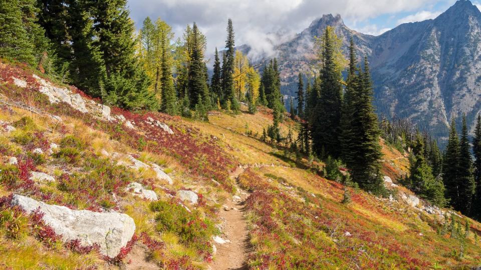 maple pass loop trail