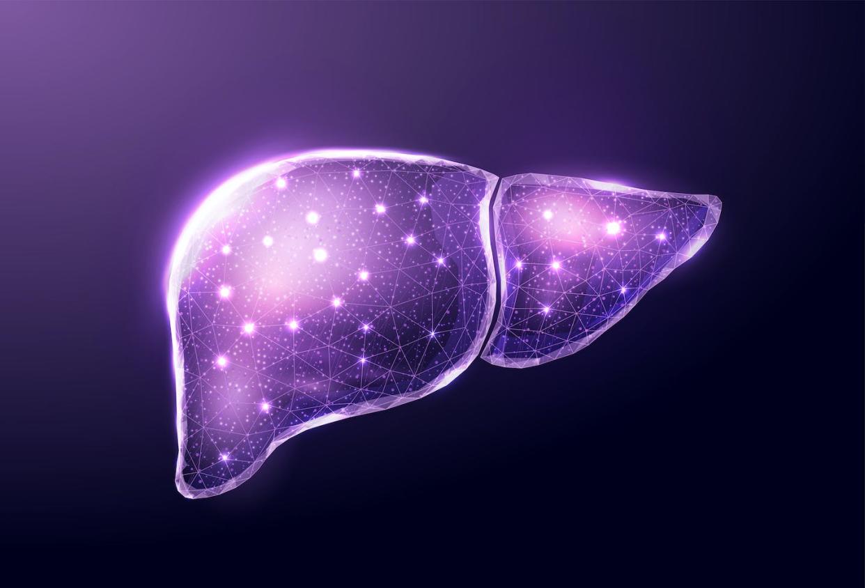 Tylenol overdose is one of the leading causes of liver injury requiring liver transplantation. <a href="https://www.gettyimages.com/detail/illustration/human-purple-liver-wireframe-low-poly-style-royalty-free-illustration/1323289190" rel="nofollow noopener" target="_blank" data-ylk="slk:Elena Merkulova/iStock via Getty Images;elm:context_link;itc:0;sec:content-canvas" class="link ">Elena Merkulova/iStock via Getty Images</a>