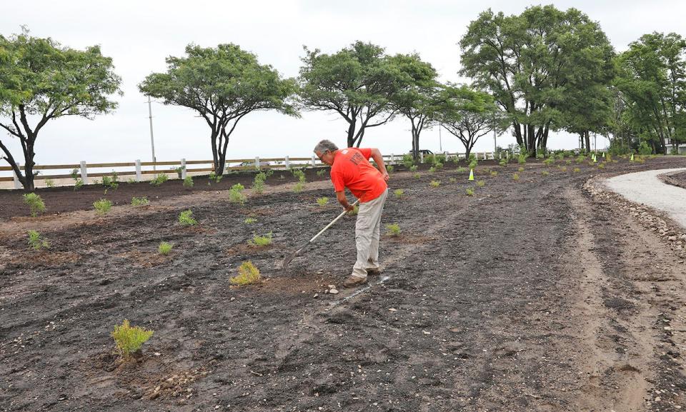 Quincy Park Department employee Phil Richards rakes new loam at the former location of The Beachcomber nightclub on Quincy Shore Drive, which is being transformed into a park. Monday, July 3, 2023.