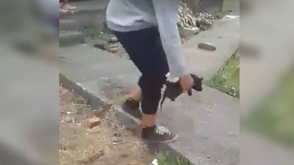 The young woman was filmed clutching the kitten with one hand. Source: Paw Justice / Facebook