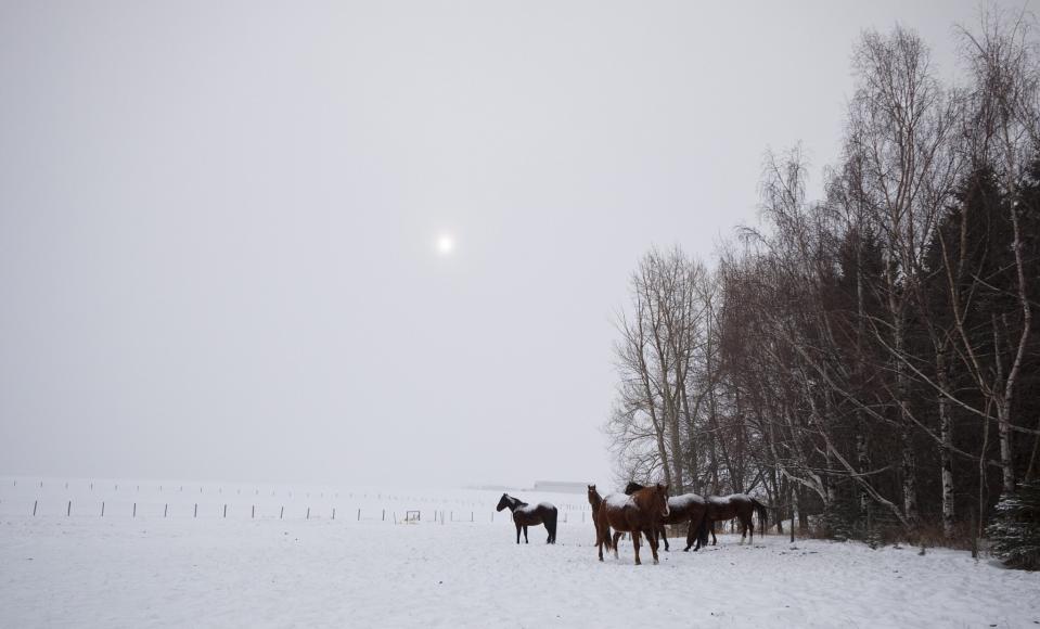 Canada's record-breaking really, really cold days