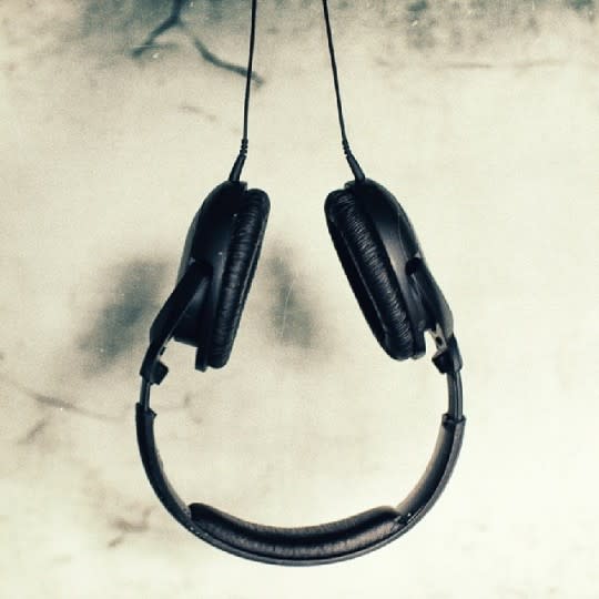 Headphone Headcases