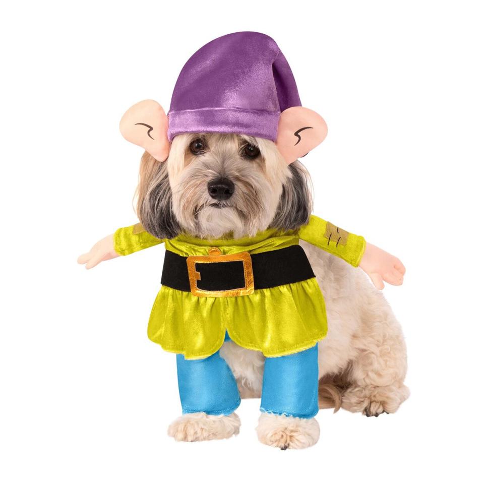 Dog wearing a Snow White and the Seven Dwarfs Dopey Costume on a white background