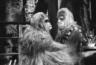 Doch "The Star Wars Holiday Special" wurde zum Albtraum. Harrison Ford und Co. waren sichtlich genervt. Mehrere Darsteller unter Alienmasken aus Latex wurden ohnmächtig. Der Regisseur warf hin. Ein anderer leimte das Stückwerk rund um Chewbaccas Reise zu seiner Familie schließlich zu etwas zusammen. (Bild: Getty Images / CBS Photo Archive)