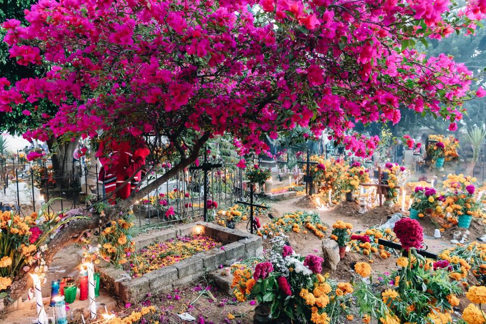 Day of the Dead in Oaxaca