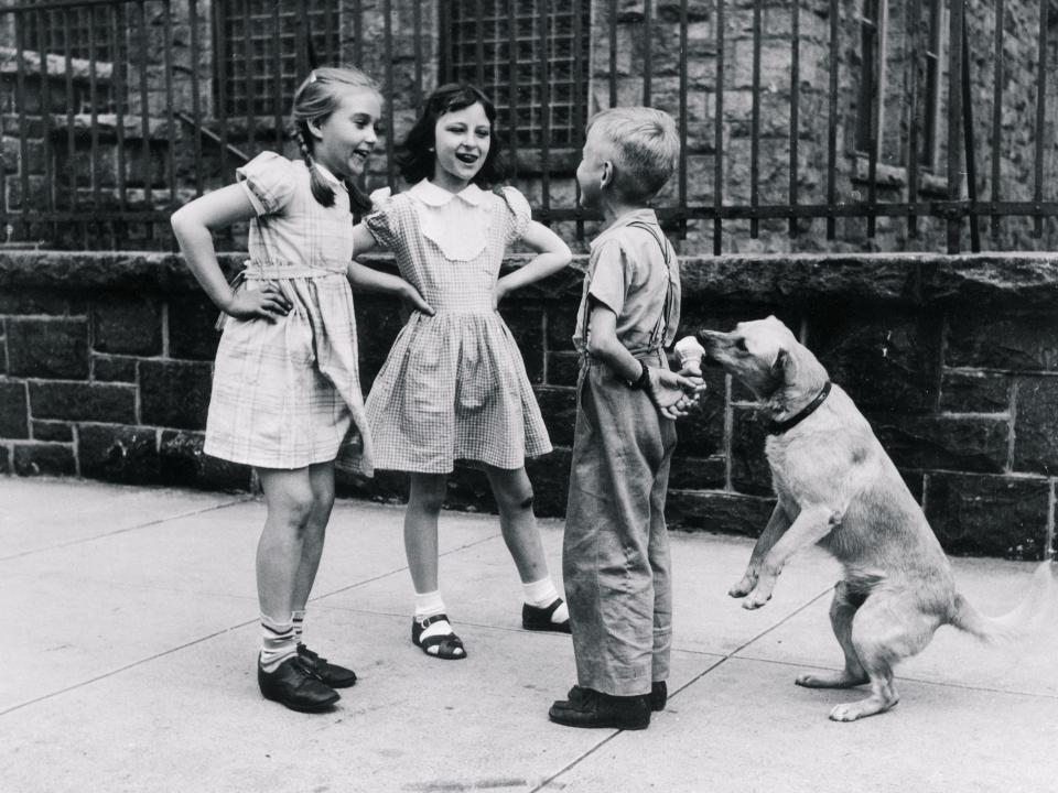 Dog Eating Ice Cream Cone Hidden Behind Boy's Back