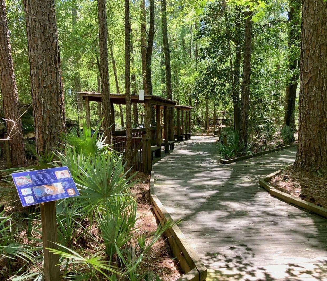 The self-guided path that leads visitors to raptor enclosures and throughout the different forest and wetland habitats within the education center