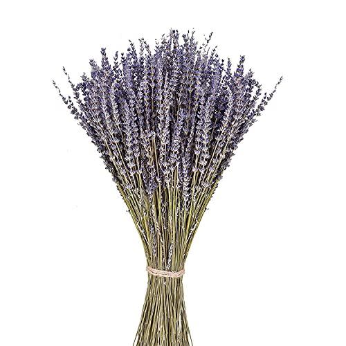 13) Dried Lavender Flowers