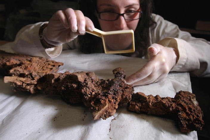 Dr Hannah Cobb from The University of Manchester looks at a viking sword during a viewing at CFA Archaeology of artefacts discovered from the first fully intact Viking boat burial site on October 18, 2011 in Edinburgh, Scotland. The 5 meter long grave uncovered on the Ardnamurchan peninsula, contained the remains of a high status Viking, who was buried with an axe, a sword with decorated hilt, a spear, shield boss and bronze ring pin. (Photo by Jeff J Mitchell/Getty Images)
