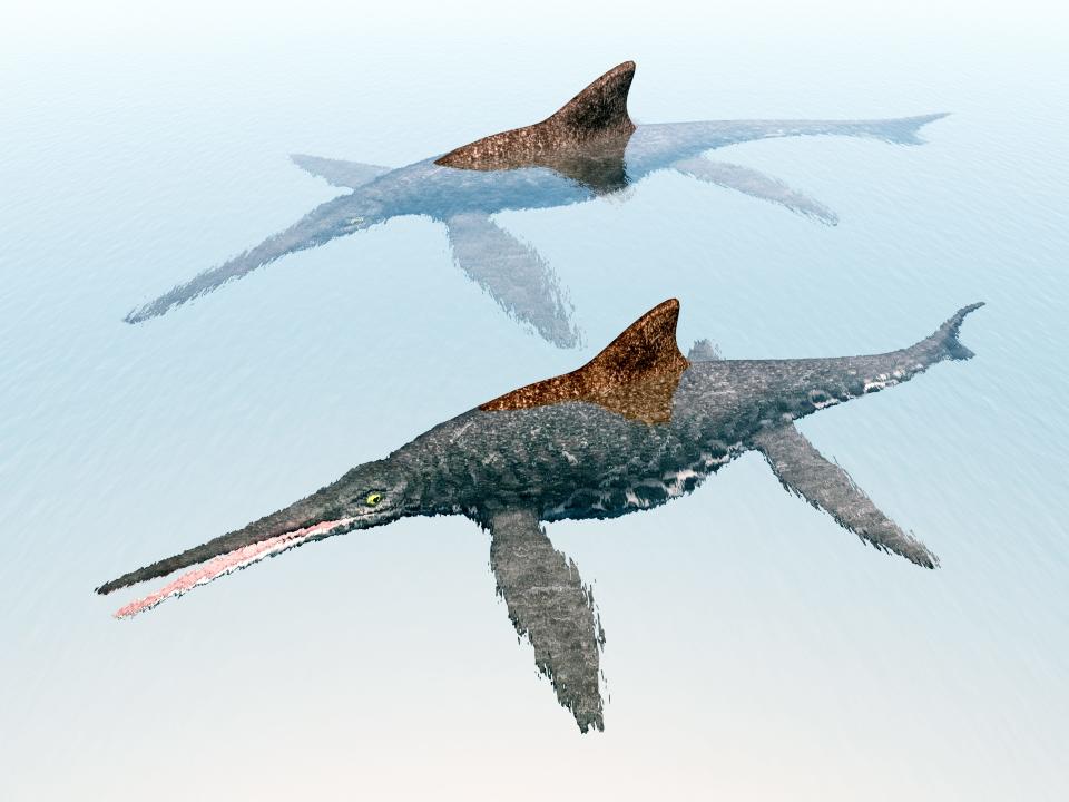 Computer generated 3D illustration with the prehistoric Ichthyosaur Shonisaurus