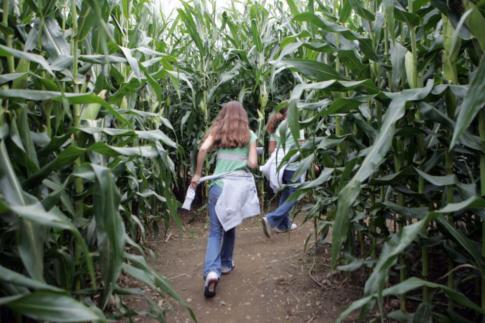 Escobar Farm Corn Maze in Portsmouth is a perennial favorite.