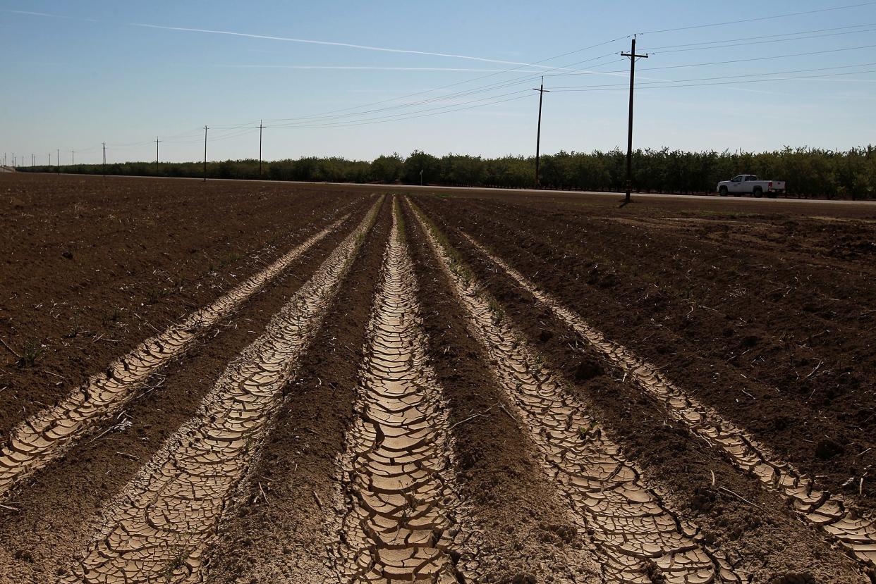 central valley farm