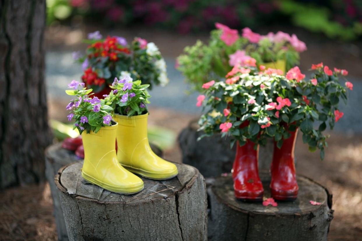 container gardening ideas