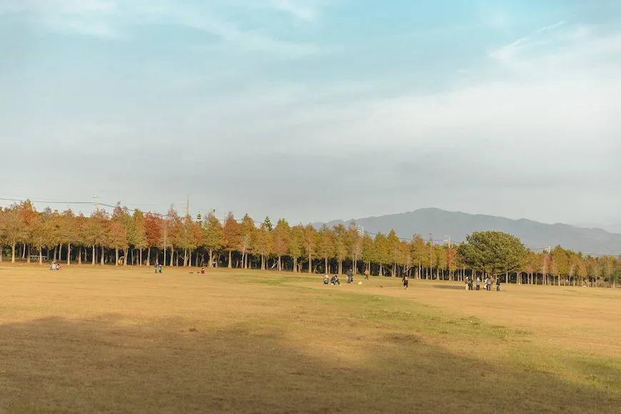 &#x0053f0;&#x004e2d;&#x00ff5c;&#x009e97;&#x005bf6;&#x006a02;&#x005712;