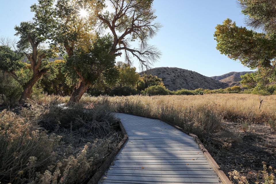 One of the elevated walkways winds through the Big Morongo Canyon Preserve in Morongo Valley, Calif., November 24, 2021.