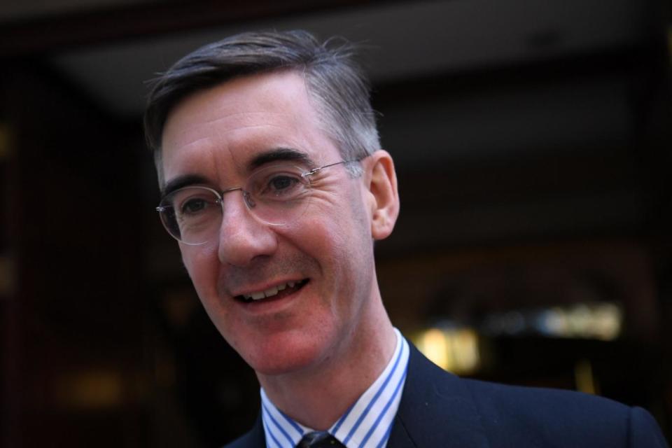 MP and Pro-Brexit campaigner Jacob Rees-Mogg (EPA)