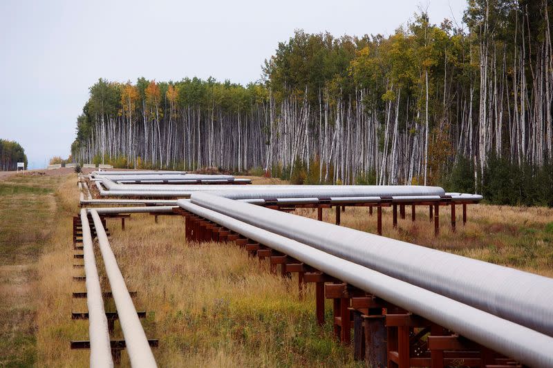 FILE PHOTO: Pipelines run at the McKay River Suncor oil sands in-situ operations near Fort McMurray.