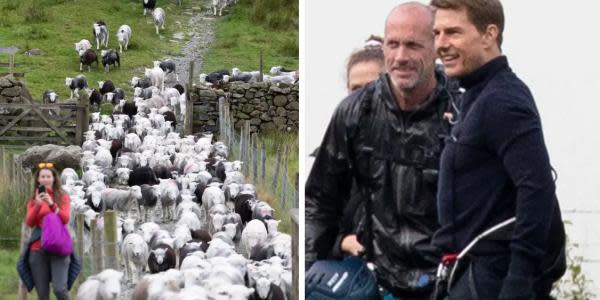 Un rebaño de ovejas invade el set de Misión Imposible 8 y detienen el rodaje