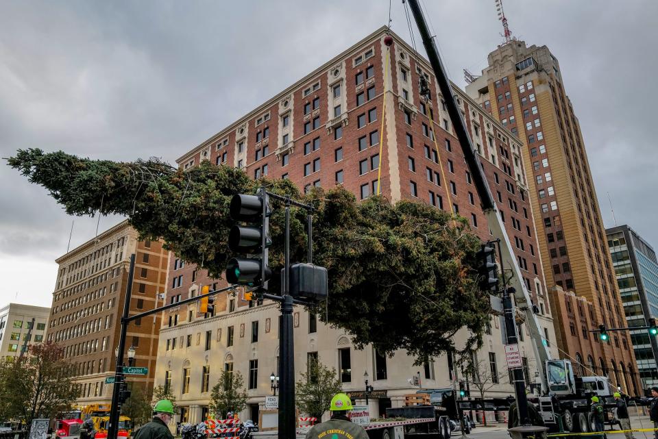 A 60-foot spruce tree is hoisted on to stands to remove the ropes tying down branches in front of the state Capitol in Lansing Saturday, Oct. 28, 2023. The state tree, from Onaway, will be decorated and lighted on Nov. 17 during Silver Bells in the City.