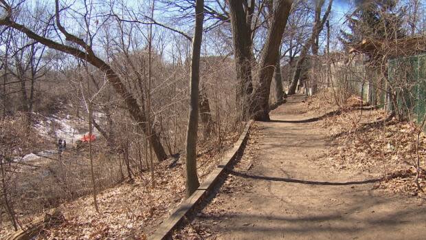 Small's Creek Ravine, much loved by neighbourhood families, is tucked behind Copeland Avenue, between Coxwell and Woodbine Avenues, south of the Danforth. 