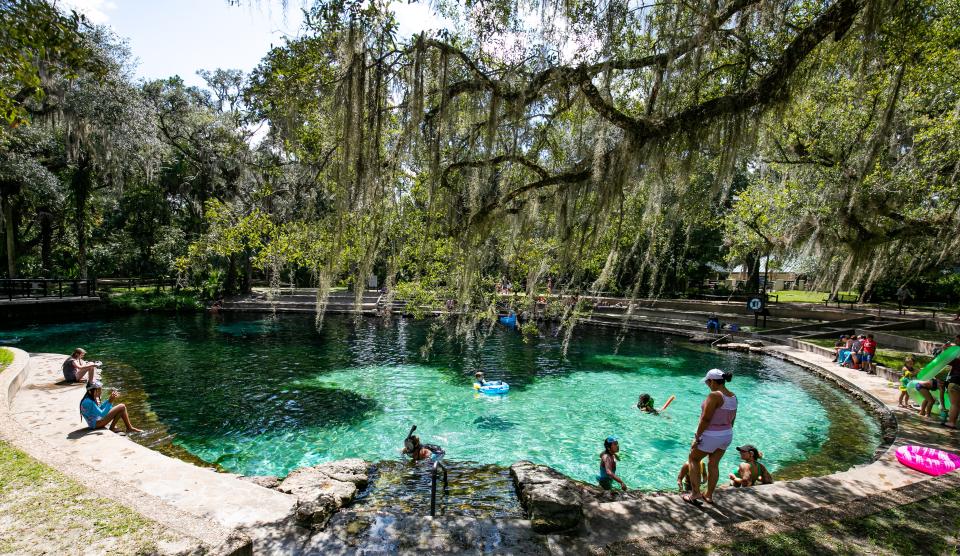 People wade in Juniper Springs while other used tubes in 2021.