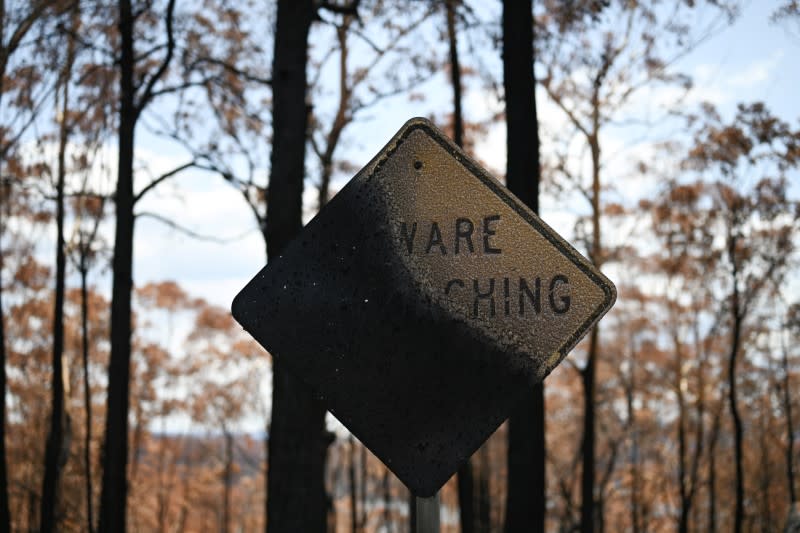 A burnt street sign destroyed in the recent bushfires is pictured in Conjola Park