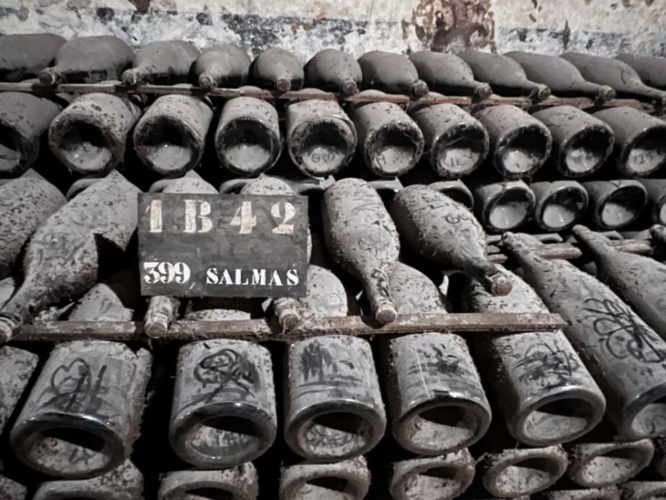 Botellas de champán cubiertas de polvo en la cavas