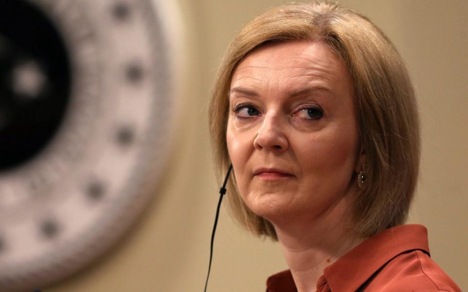 Liz Truss said: ‘The Ukrainian people do not have the luxury to feel fatigued. Nor can the rest of the free world’ - Shutterstock