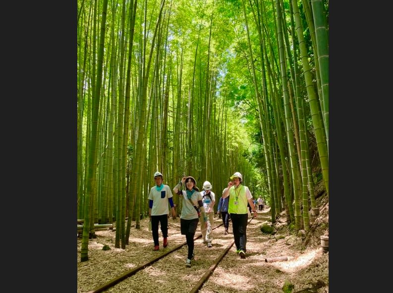 日本鳥取縣倉吉市「舊國鐵倉吉線遺跡」已廢線近40年，但近來受觀光客青睞，每年吸引逾萬人造訪，被日本網友封為「日本最美廢線遺跡」。其中一段竹林景緻與神似京都嵐山。（圖取自倉吉観光MICE協会Facebook）