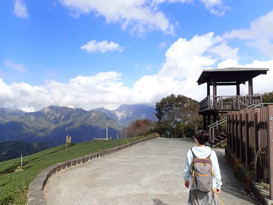 嘉義大風埕觀日峰＋油車寮步道