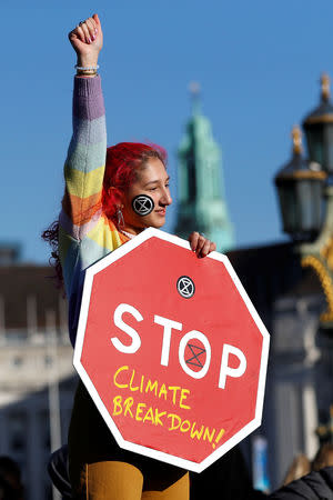 Environmental campaigners from the direct action group Rebellion demonstrate on Westminster Bridge in central London, Britain, November 17, 2018. REUTERS/Peter Nicholls