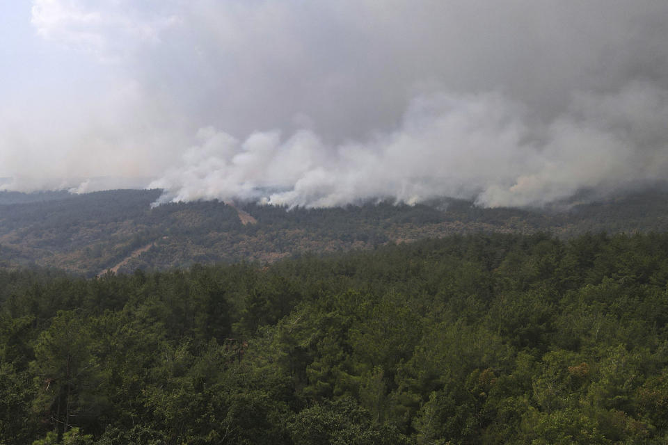 A wildfire burns a forest in Giannouli village, in the northeastern Evros region, Greece, Thursday, Aug. 31, 2023. Greek authorities have further reinforced firefighting forces in the country's northeast, where a massive blaze in its thirteenth day has flared up once more, triggering authorities to issue alerts to residents in the area to be on standby for possible evacuation. (e-evros.gr via AP)