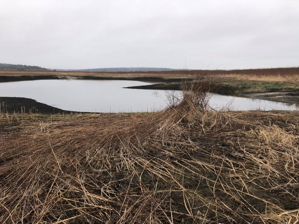 Dried grasses remain in the lakebed around Porter Sink at Lake Jackson as water begins to return after weekend rains on Monday, Dec. 20, 2021.