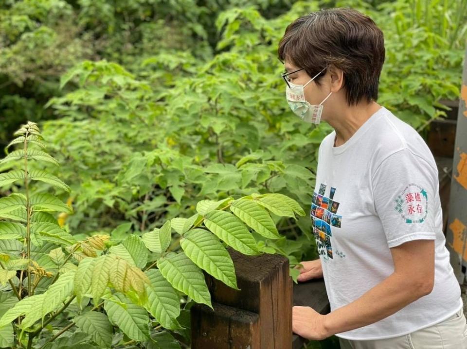 （民眾黨立委蔡壁如／照片取自蔡壁如臉書）