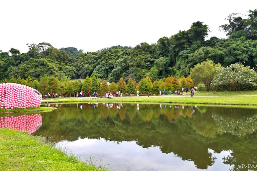 桃園大溪｜月眉人工濕地生態公園