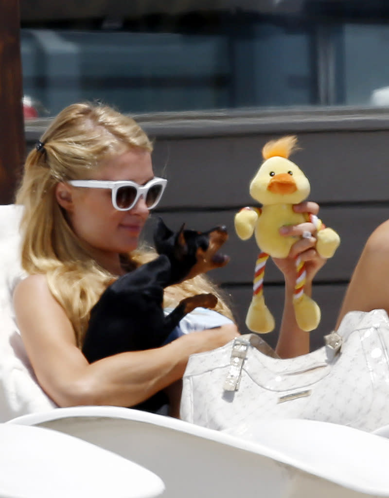 Paris Hilton having fun with her dog on the beach in Malibu, California