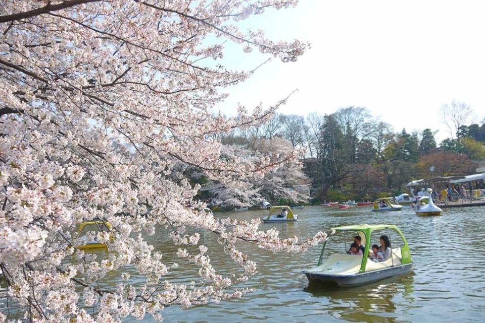 井之頭恩賜公園