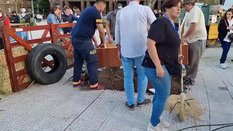 Productores se encargaron de dejar en perfecto estado la Plaza de Mayo