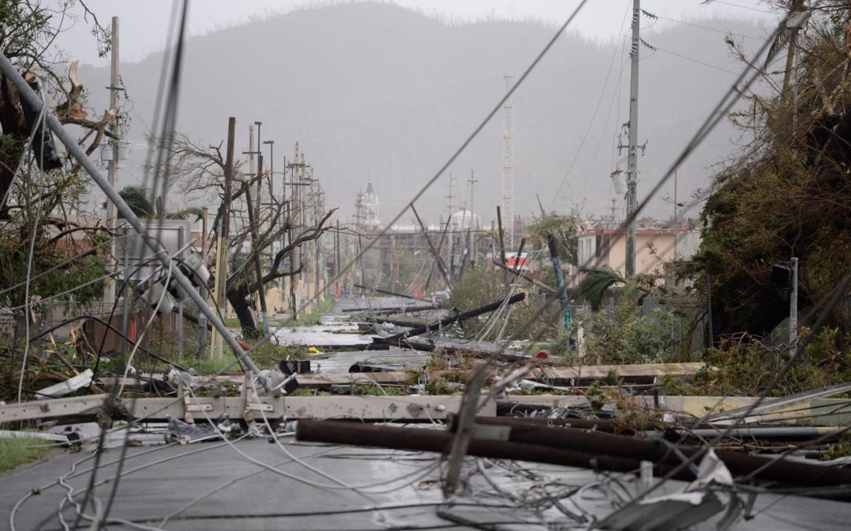 Electricity poles and lines lay toppled on the road after Hurricane Maria hit the east of the island - AP